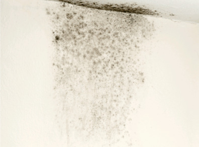 고흥 주택 아파트 공장 결로검사 결로공사 시공업체